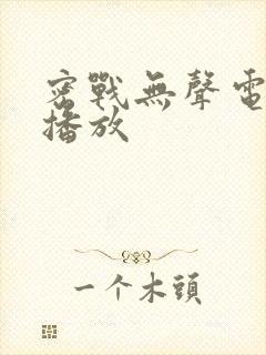 密战无声电视剧播放