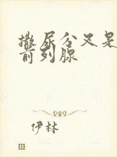 撒尿分叉是不是前列腺