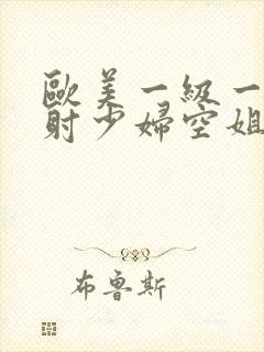 欧美一级一片内射少妇空姐网站