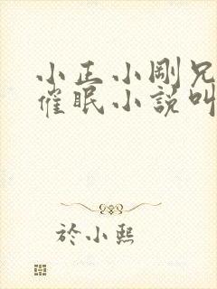 小正小刚兄弟俩催眠小说叫什么