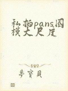 私拍pans国模大尺度