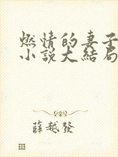 燃情的妻子方雪小说大结局