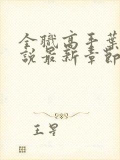 全职高手叶修小说最新章节下载