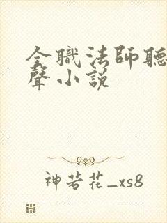 全职法师听书有声小说