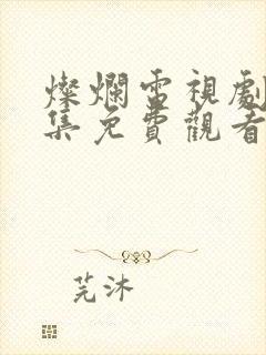 灿烂电视剧40集免费观看