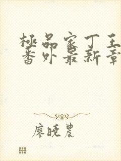 极品家丁王大根番外最新章节更新封面