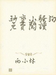 秒变小骚狗全文免费阅读