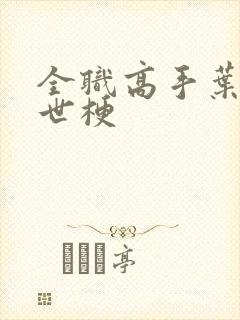 全职高手叶修家世梗