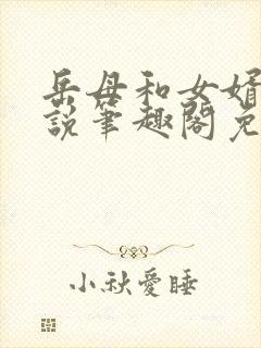 岳母和女婿的小说笔趣阁免费阅读全