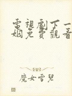 电视剧下一站婚姻免费观看全集高清封面