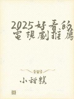 2025好看的电视剧推荐 前十名封面