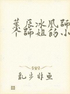 叶辰冰凰师娘九个师姐的小说