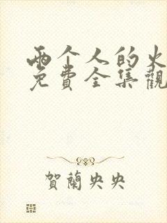 两个人的火山口免费全集观看