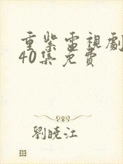 重紫电视剧全集40集免费