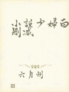 小说少妇白洁无删减