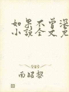 如果不曾深爱你小说全文免费阅读