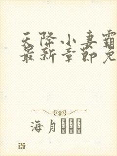 天降小妻霸道宠最新章节免费阅读