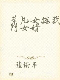 叶凡女总裁的上门女婿封面