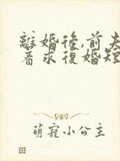 离婚后,前夫哭着求复婚短剧免费观看