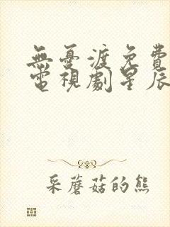 无忧渡免费完整电视剧星辰影院