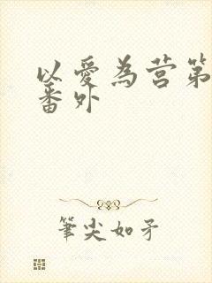 以爱为营第二季番外