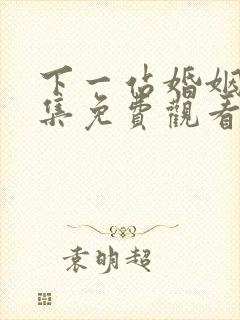 下一站婚姻40集免费观看电视剧封面