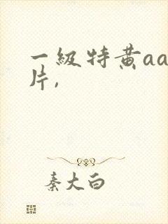 一级特黄aa大片,