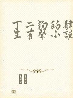 丁二狗的肆意人生有声小说免费