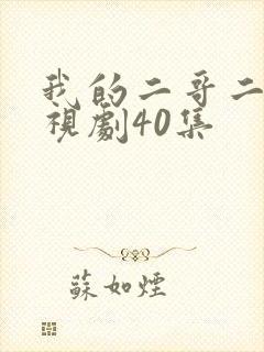 我的二哥二嫂电视剧40集封面