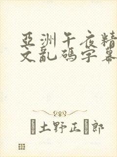 亚洲午夜精品中文乱码字幕