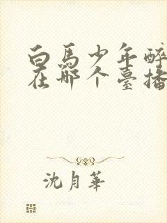 白马少年醉春风在哪个台播出