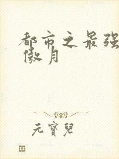 都市之最强仙帝 傲月