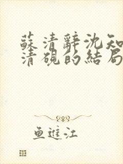 苏清辞沈知夏林清砚的结局是什么封面