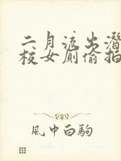 二月流出潜入高校女厕偷拍在线