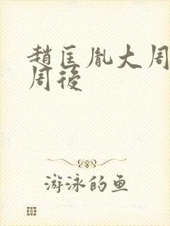 赵匡胤大周后小周后