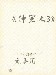 《伸冤人3》