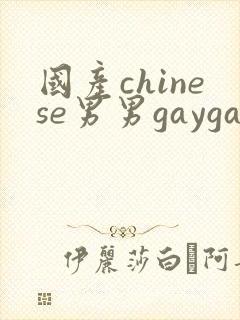 国产chinese男男gaygaypornsissy