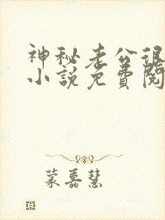 神秘老公很凶猛小说免费阅读全文