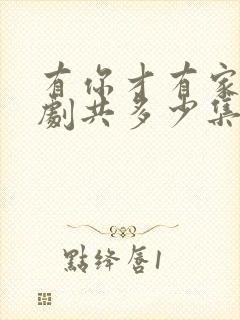 有你才有家电视剧共多少集