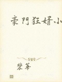 豪门狂婿小说封面