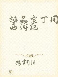 极品家丁同人之西游记