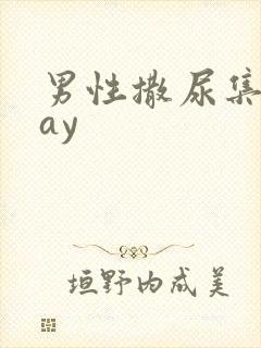 男性撒尿集合gay