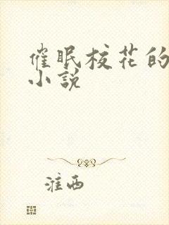 催眠校花的洗脑小说