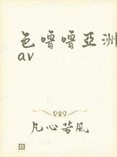 色噜噜亚洲综合av