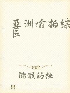 亚洲偷拍综合一区