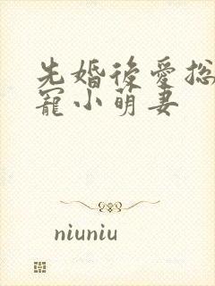 先婚后爱总裁盛宠小萌妻