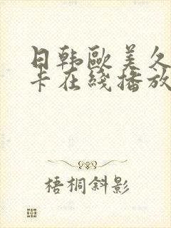 日韩欧美久久不卡在线播放