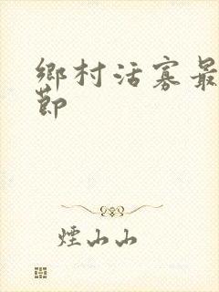 乡村活寡最新章节