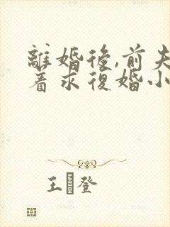 离婚后,前夫哭着求复婚小说正版