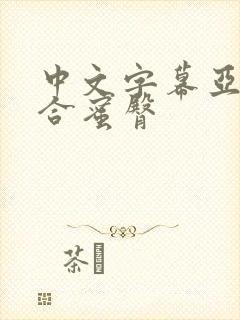 中文字幕亚洲综合蜜臀